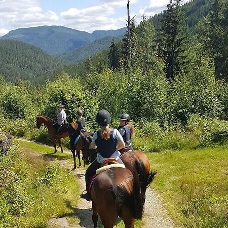 River Run Ranch - Telemark Drangedal Ngoại thất bức ảnh