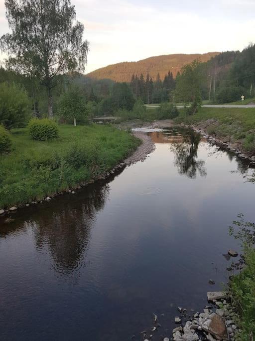River Run Ranch - Telemark Drangedal Ngoại thất bức ảnh