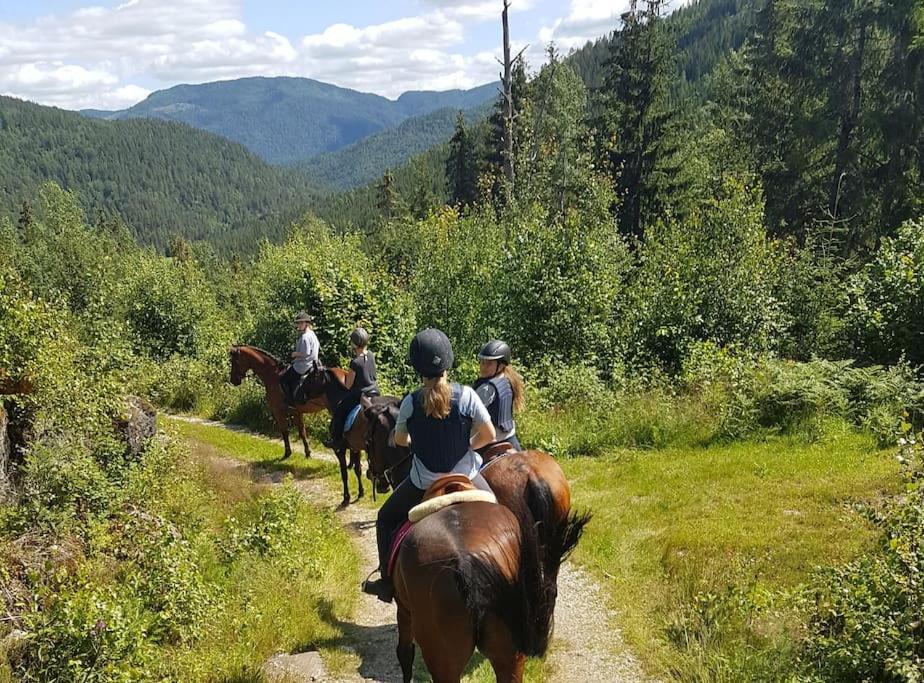 River Run Ranch - Telemark Drangedal Ngoại thất bức ảnh
