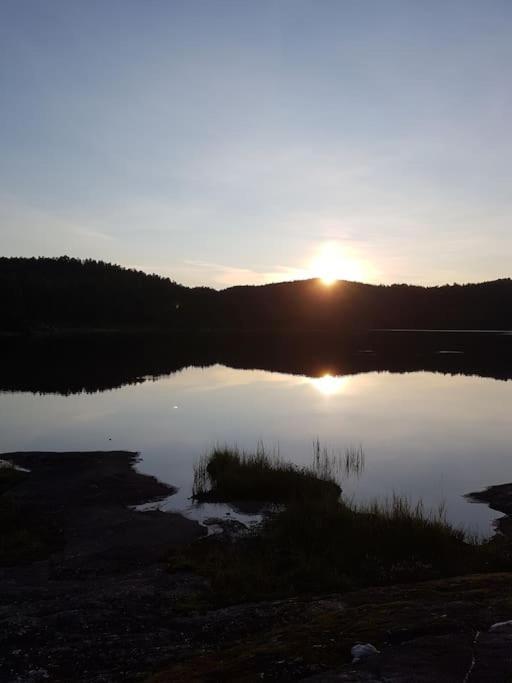 River Run Ranch - Telemark Drangedal Ngoại thất bức ảnh