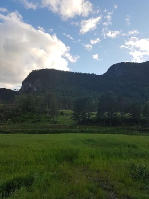 River Run Ranch - Telemark Drangedal Ngoại thất bức ảnh