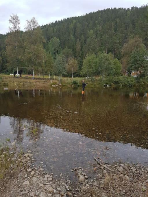 River Run Ranch - Telemark Drangedal Ngoại thất bức ảnh