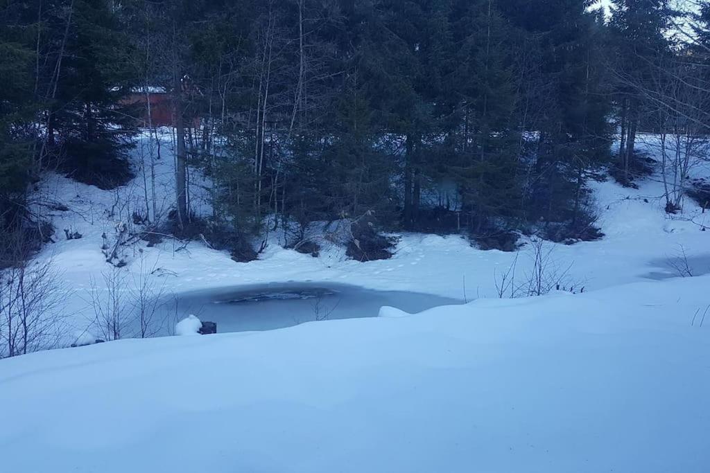 River Run Ranch - Telemark Drangedal Ngoại thất bức ảnh