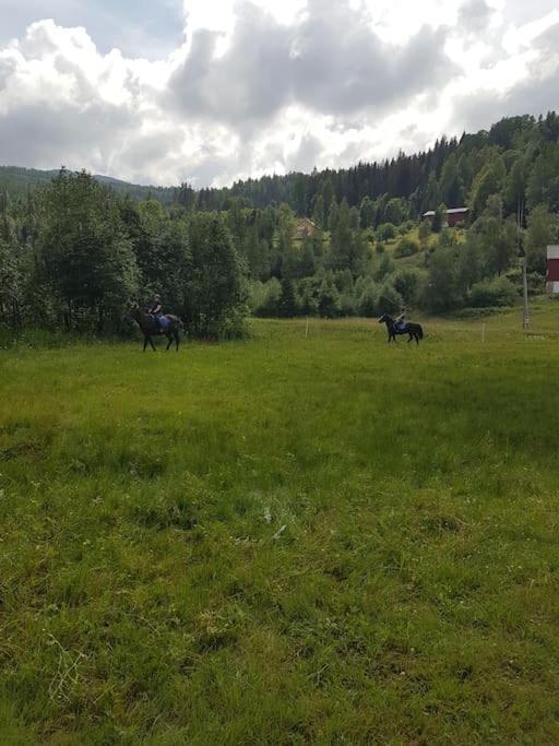 River Run Ranch - Telemark Drangedal Ngoại thất bức ảnh