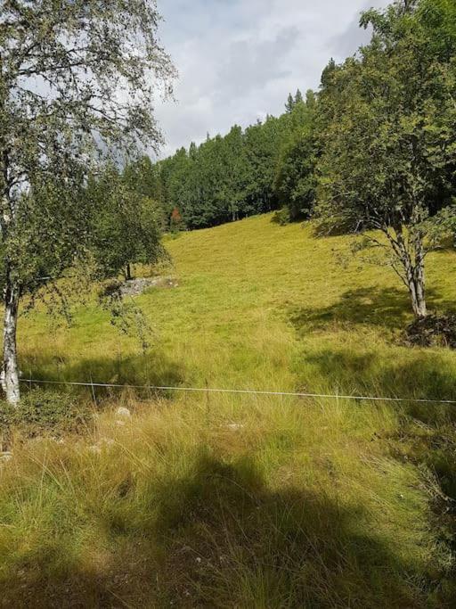 River Run Ranch - Telemark Drangedal Ngoại thất bức ảnh