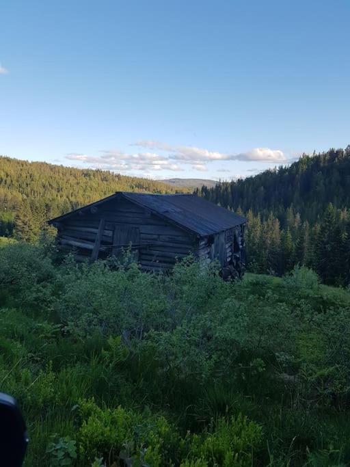 River Run Ranch - Telemark Drangedal Ngoại thất bức ảnh