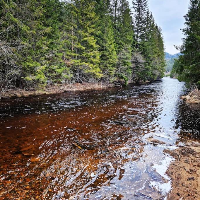 River Run Ranch - Telemark Drangedal Ngoại thất bức ảnh