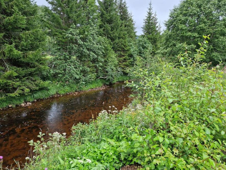 River Run Ranch - Telemark Drangedal Ngoại thất bức ảnh