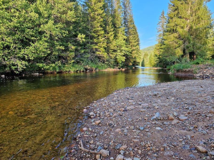 River Run Ranch - Telemark Drangedal Ngoại thất bức ảnh