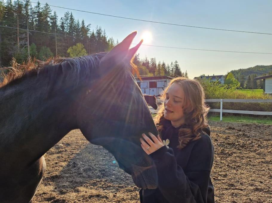 River Run Ranch - Telemark Drangedal Ngoại thất bức ảnh